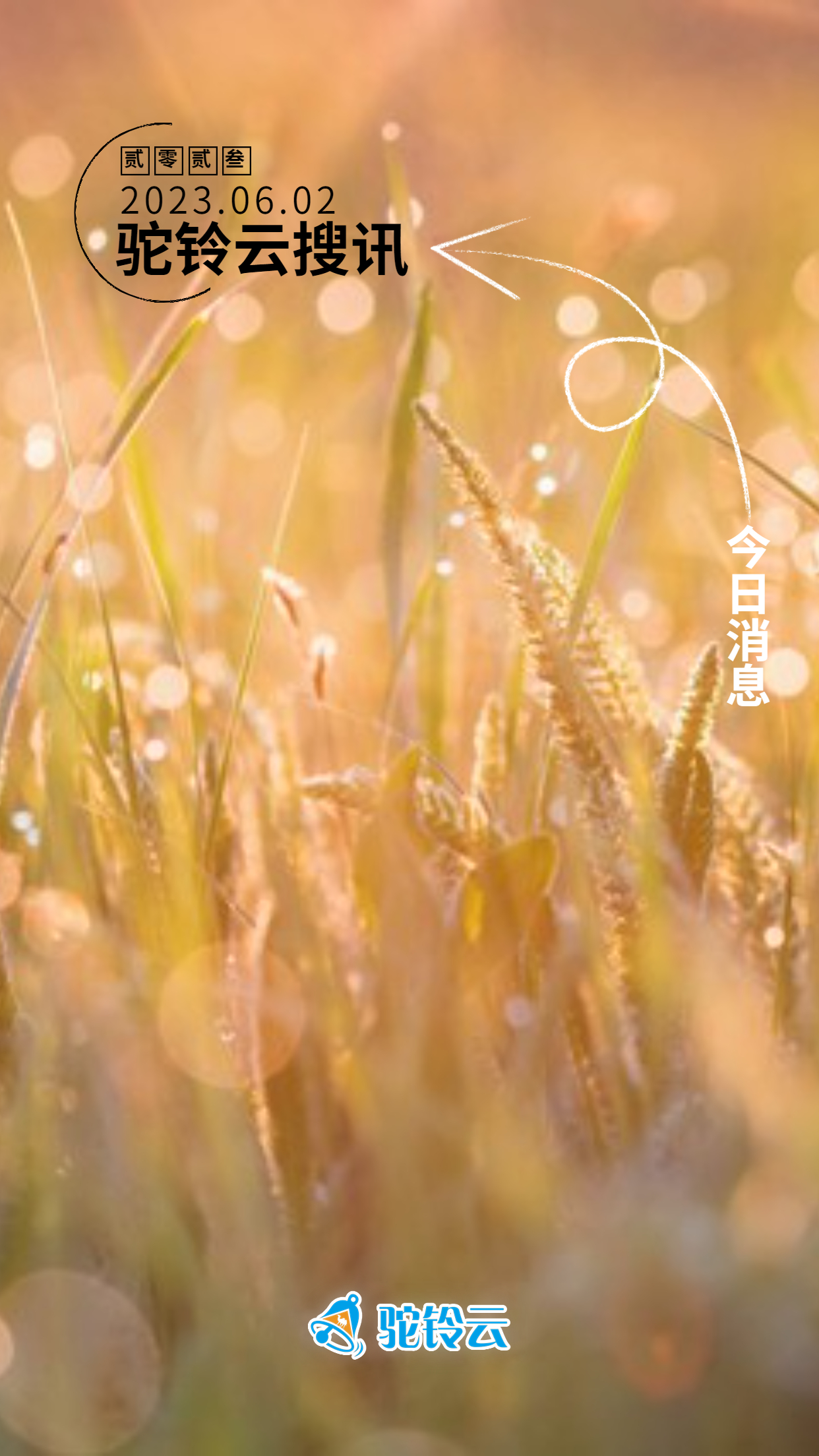 【驼铃云搜讯】我国服务进出口总额20816.5亿元 | 今年我国快递业务量已达500亿件